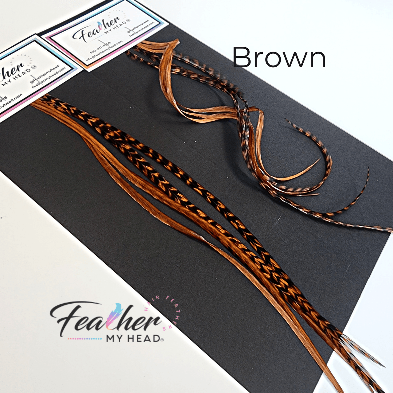 Brown Feather Hair Extension kit by Feather My Head Hair Feathers in long lengths you will love