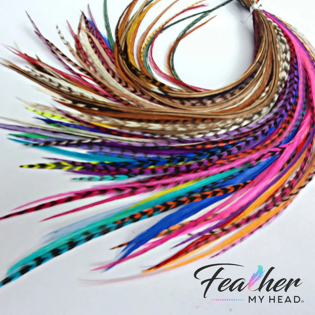 Discover the perfect blend of style and variety with our exclusive 50-piece hair feather pack, tailor-made for salon owners and vendors. Elevate your clients' hair game with our rare and luxurious very long feathers, ranging from 11 inches to an impressive 14 inches.