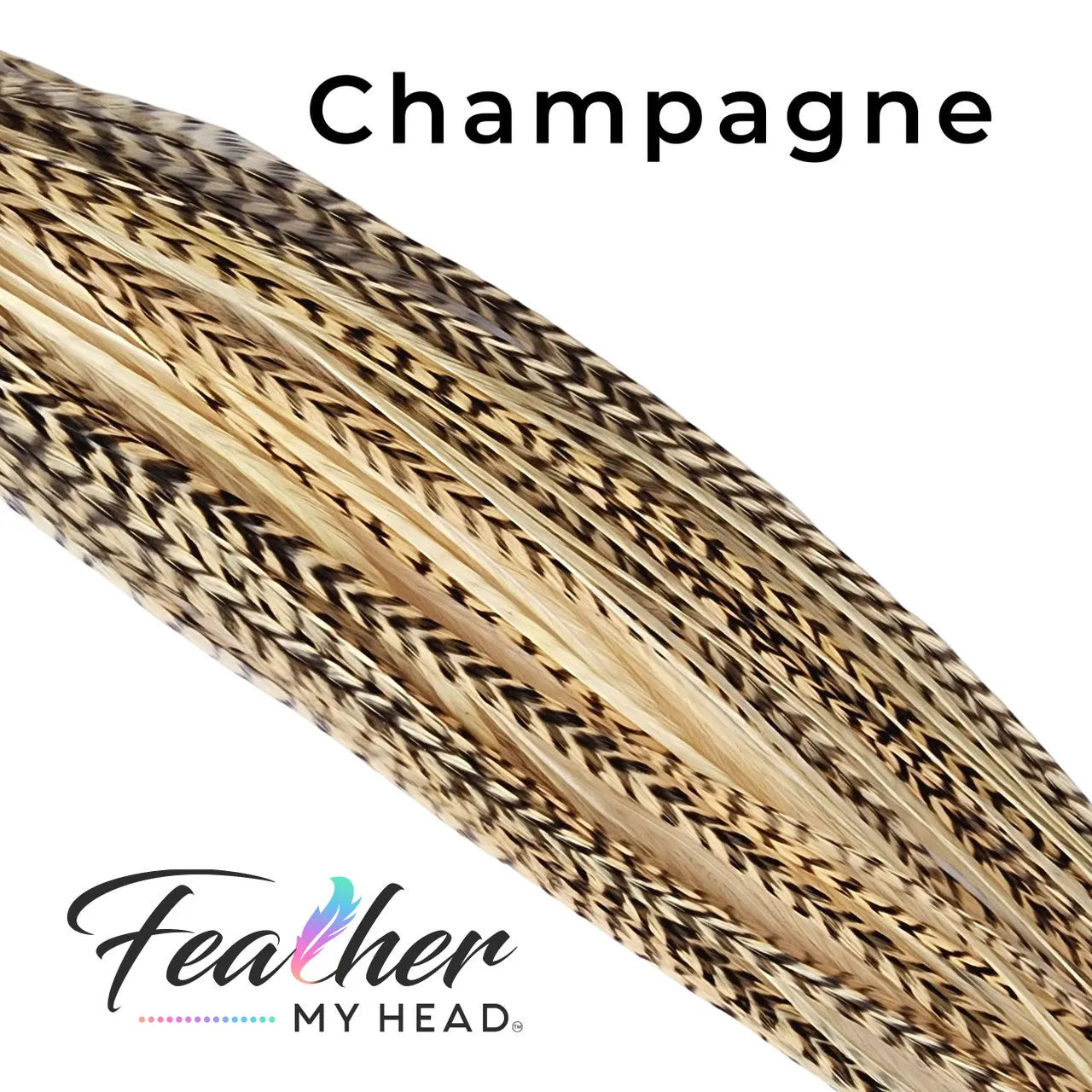 Feather My Head Hair Feathers in a light Champagne Color