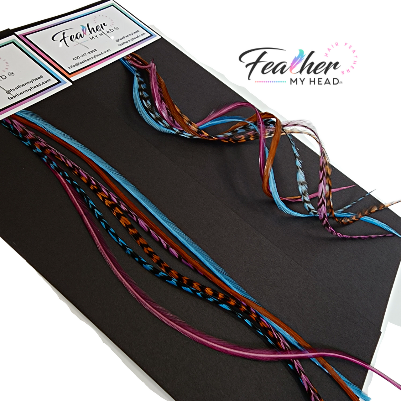 Feather Hair Extension Kit by Feather My Head. Mix of Blue Feathers, Plum Purple Feathers, Brown Feathers. Real hair feathers in long lengths. Halloween costume accessory