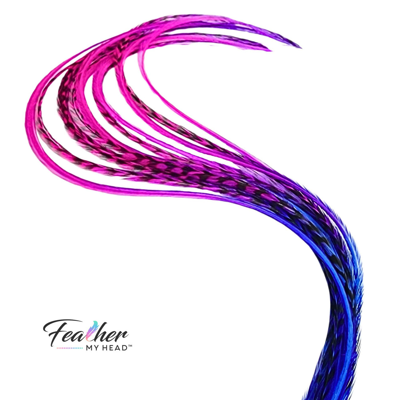 Electric Berry Fade Rainbow Hair Feather