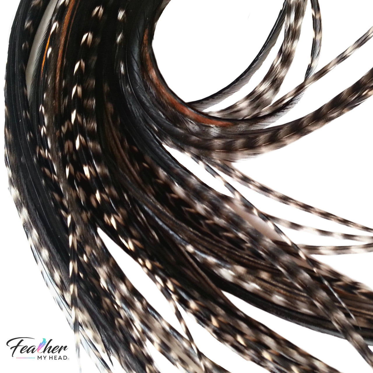Black Variant Hair Feathers are natural feathers that will widely vary in color and markings on each feather. No two feathers will be the same. This color is used often in our natural mix collections. Color pairs well with other natural feathers for a soft natural look.