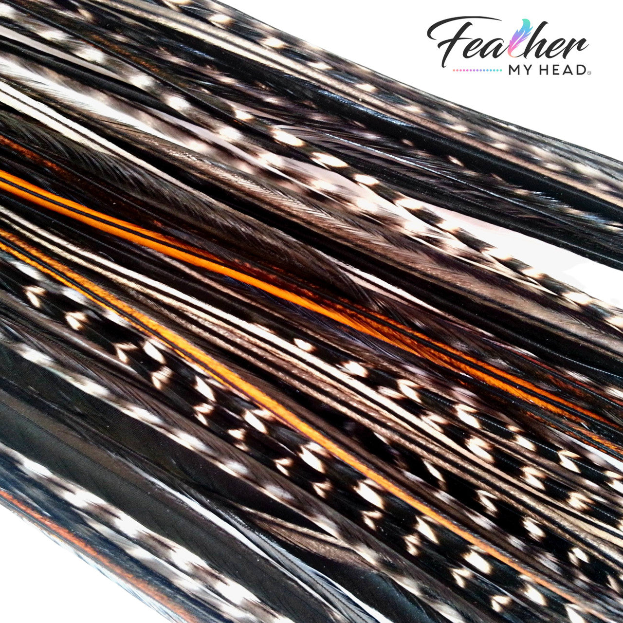 Black Variant Hair Feathers are natural feathers that will widely vary in color and markings on each feather. No two feathers will be the same. This color is used often in our natural mix collections. Color pairs well with other natural feathers for a soft natural look.