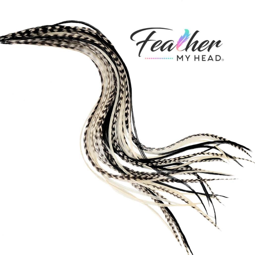 Hair Feather Extension Collection of hair feathers in soft natural earthy shades of black and white grizzly and white-cream colors.
Select your length with hair feathers over 16 inches long. Optional feather kit makes installing your feathers at home a cinch with instructions and photos