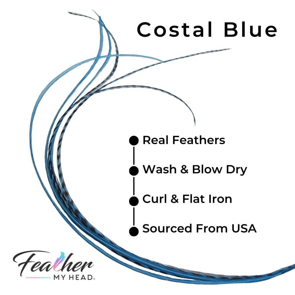 Costal Blue Hair Feather Extensions