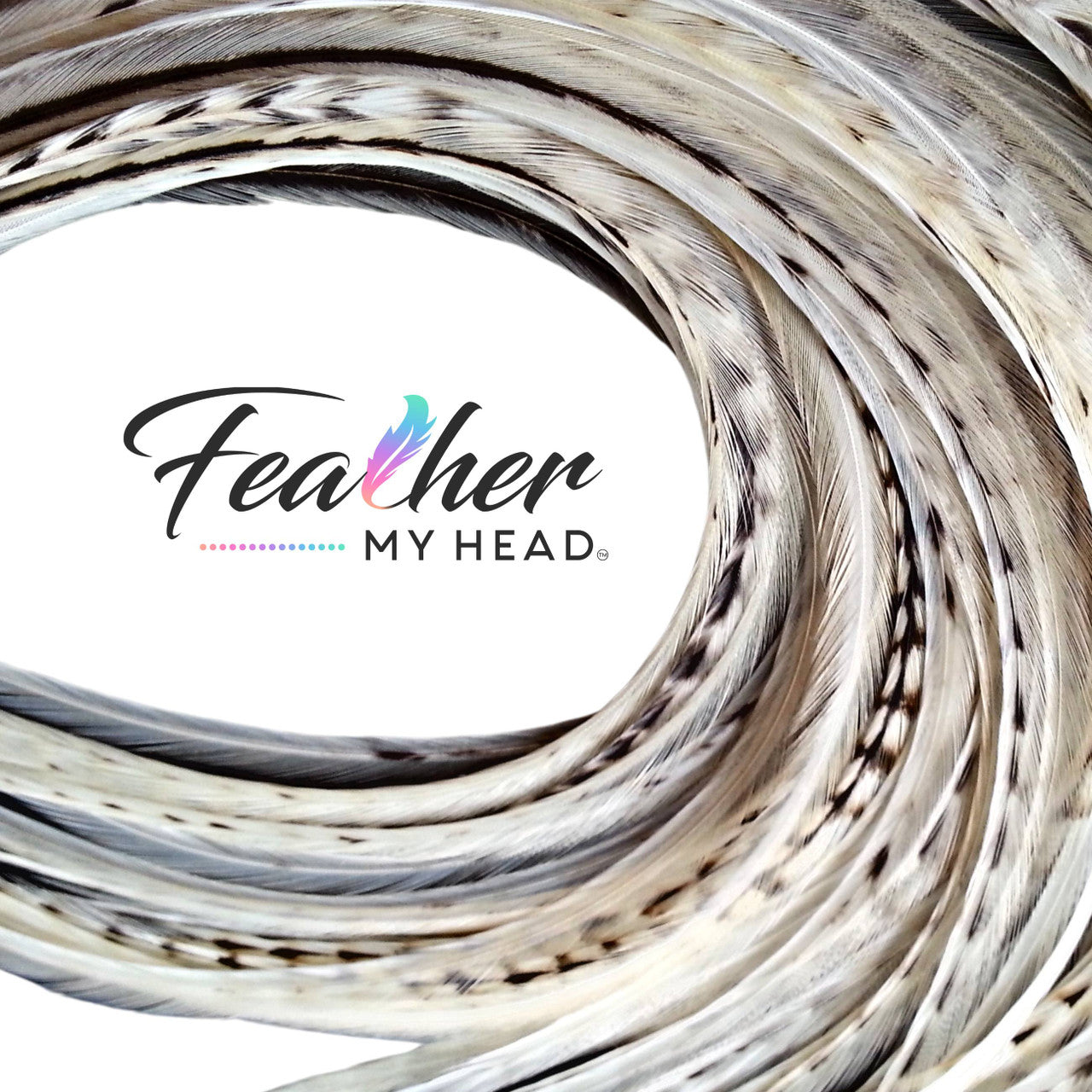 Cream Variant Hair Feathers are natural feathers that will widely vary in color and markings on each feather. No two feathers will be the same. This color is used often in our natural mix collections. Color pairs well with other natural feathers for a soft natural look.