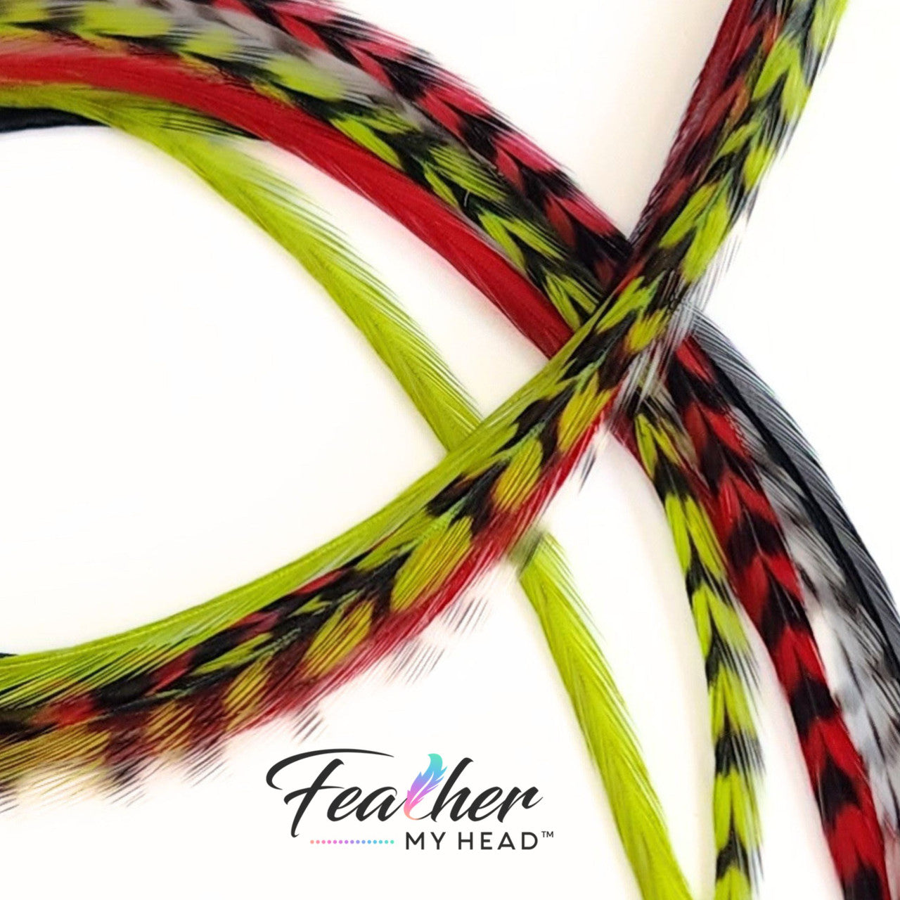 Unveiling our "Don't Be a Grinch" Christmas Hair Feather Collection! Dive into the festive cheer with green, red, classic black, and natural black and white grizzly striped feather extensions. Let your hair embody the holiday magic and shake off any Grinch vibes. This collection is your ticket to a jolly, spirited look that screams Christmas joy. So, don't be a Grinch – adorn your locks with these playful feathers and spread the merriment in style!