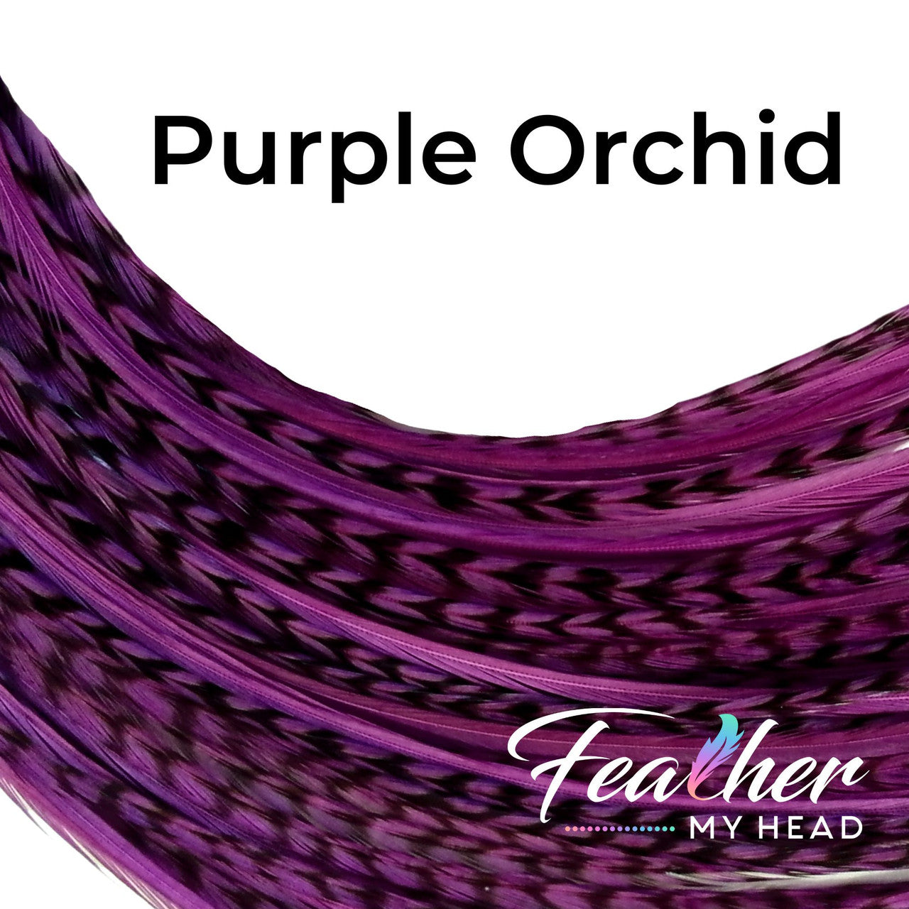 Feather My Head Hair Feathers in a Purple Orchid Color