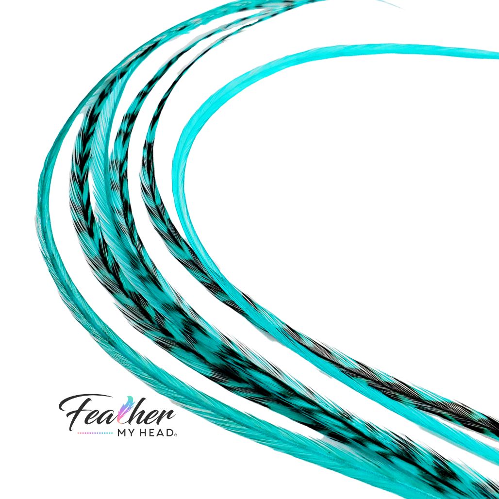 Aqua Blue Hair Feather