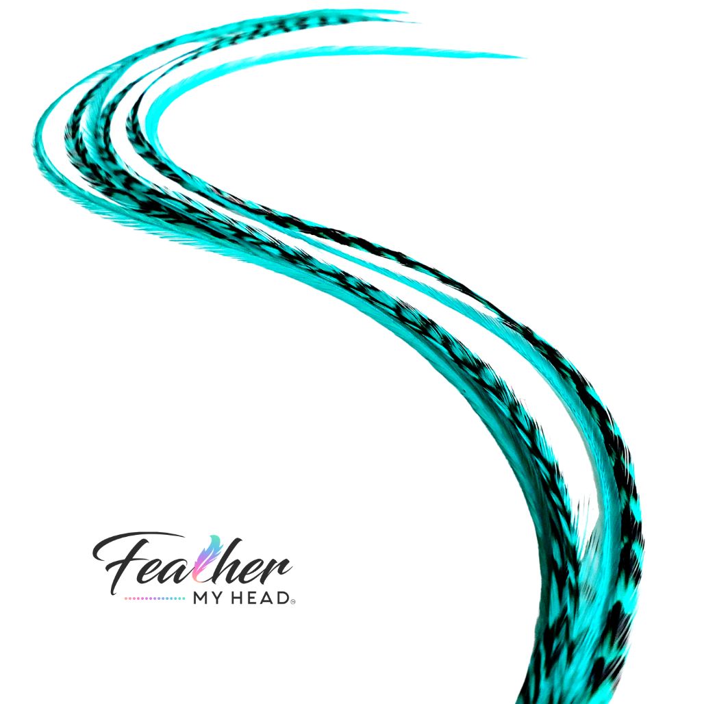 Aqua Blue Hair Feather