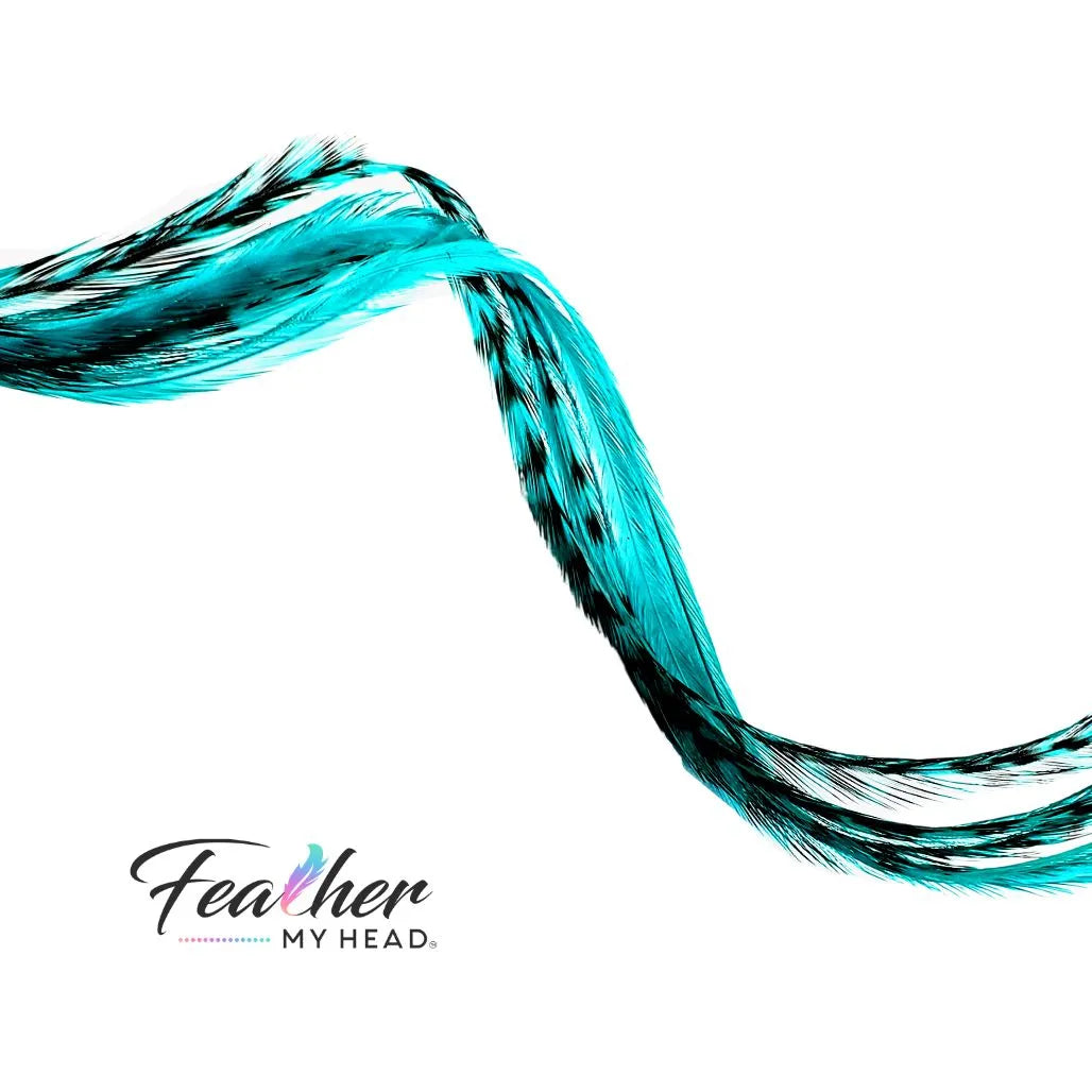 Aqua Blue Hair Feather