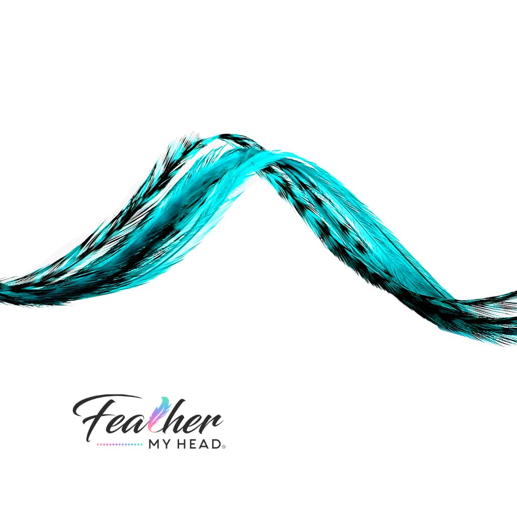Aqua Blue Hair Feather