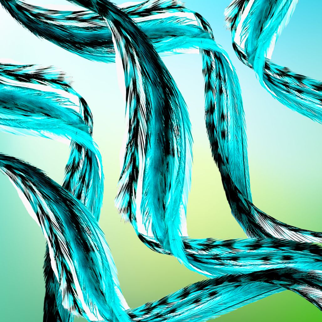 Aqua Blue Hair Feather