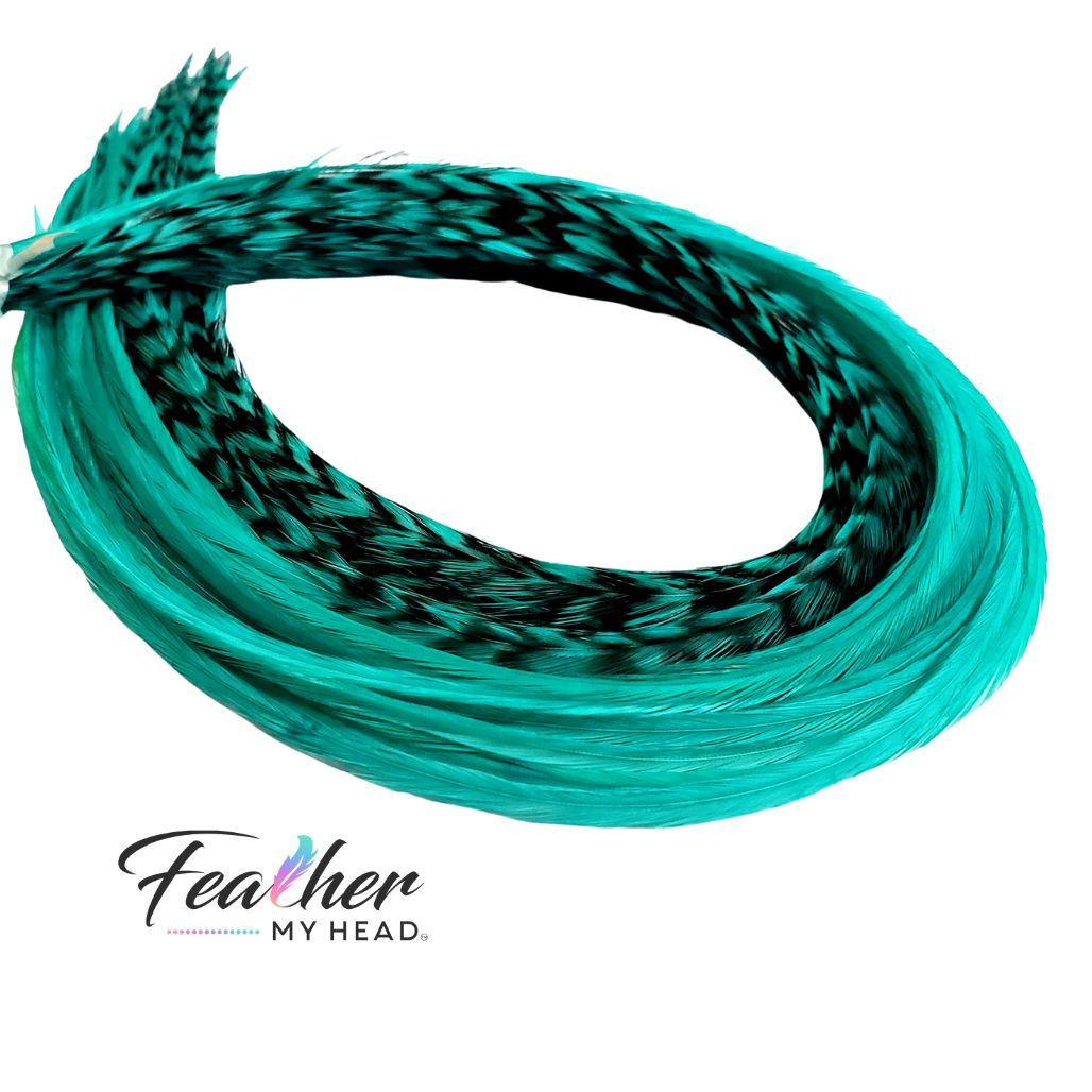 Aqua Blue Hair Feather