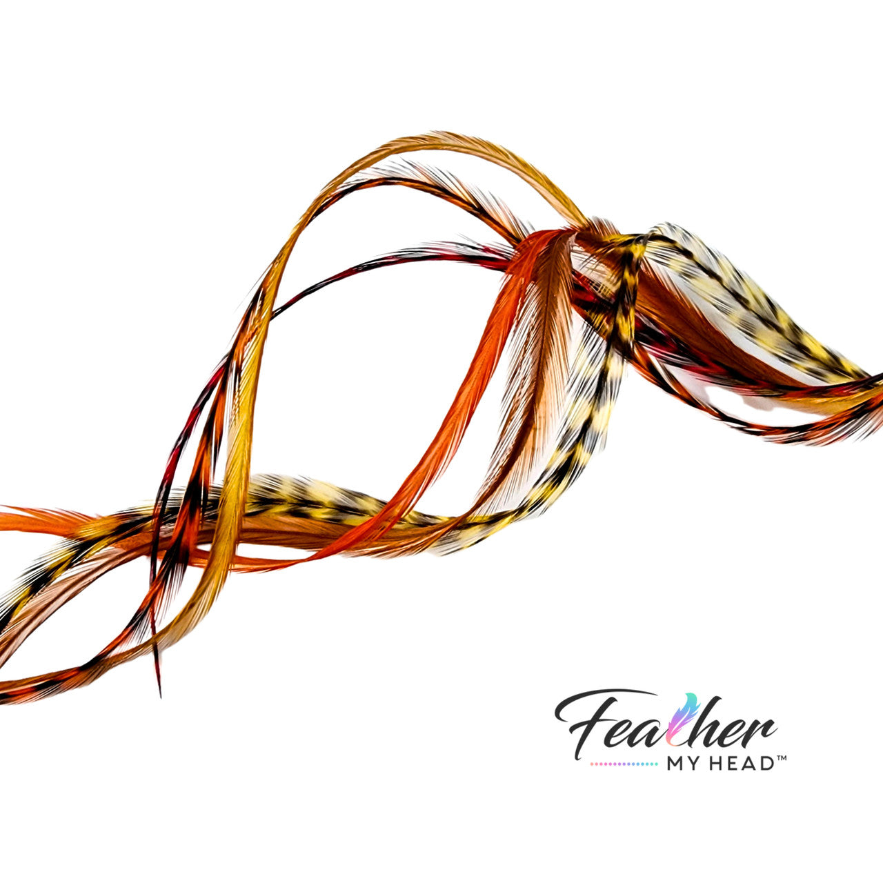 Feather Hair Extension Kit by Feather My Head. Mix of brown, butterscotch yellow, orange and red feathers. Real hair feathers in long lengths.