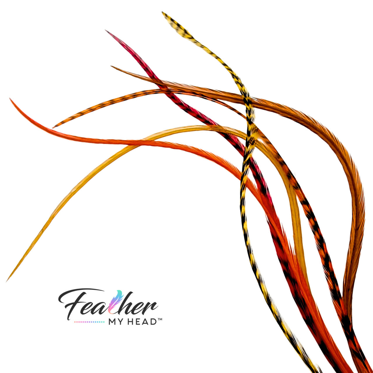 Feather Hair Extension Kit by Feather My Head. Mix of brown, butterscotch yellow, orange and red feathers. Real hair feathers in long lengths.