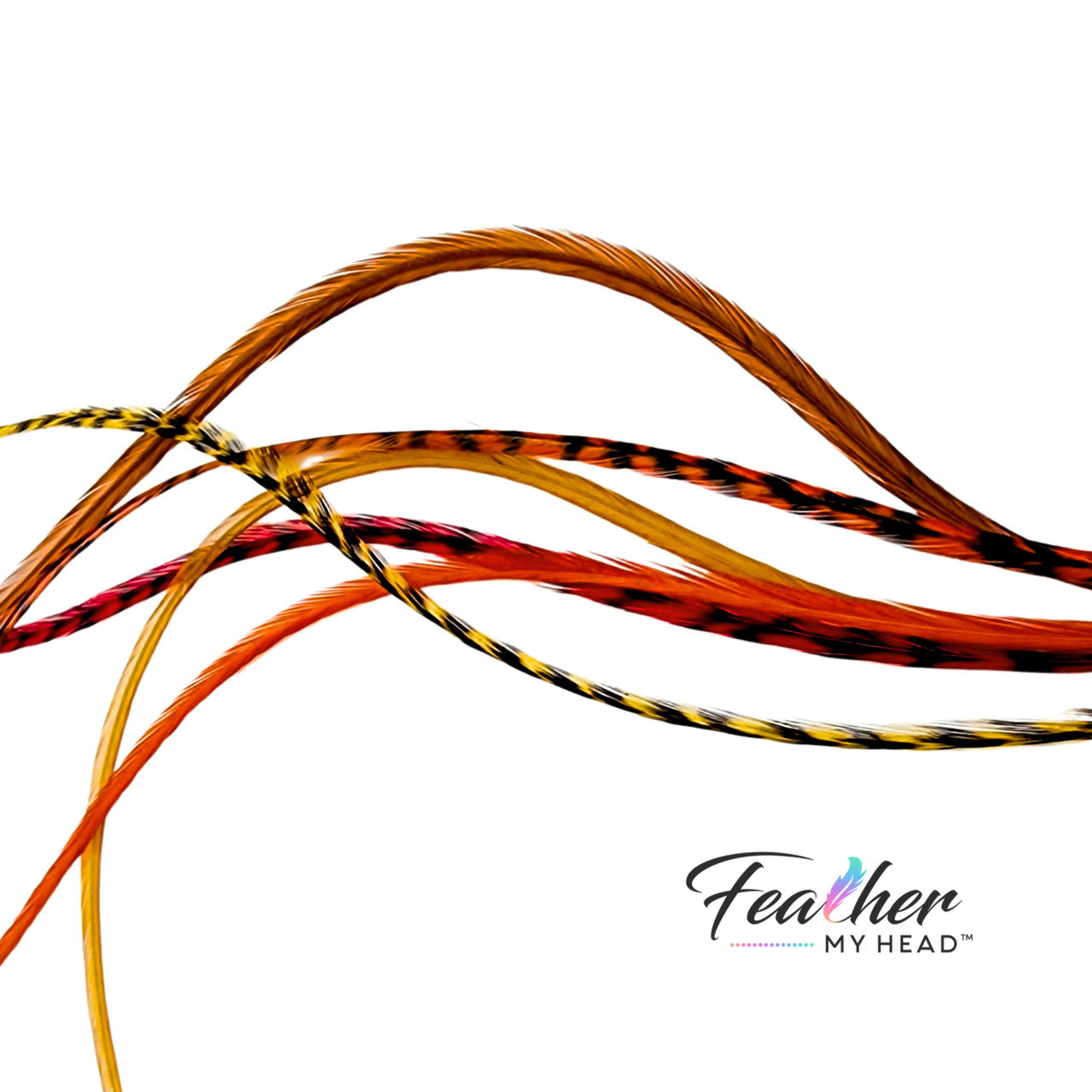 Feather Hair Extension Kit by Feather My Head. Mix of brown, butterscotch yellow, orange and red feathers. Real hair feathers in long lengths.
