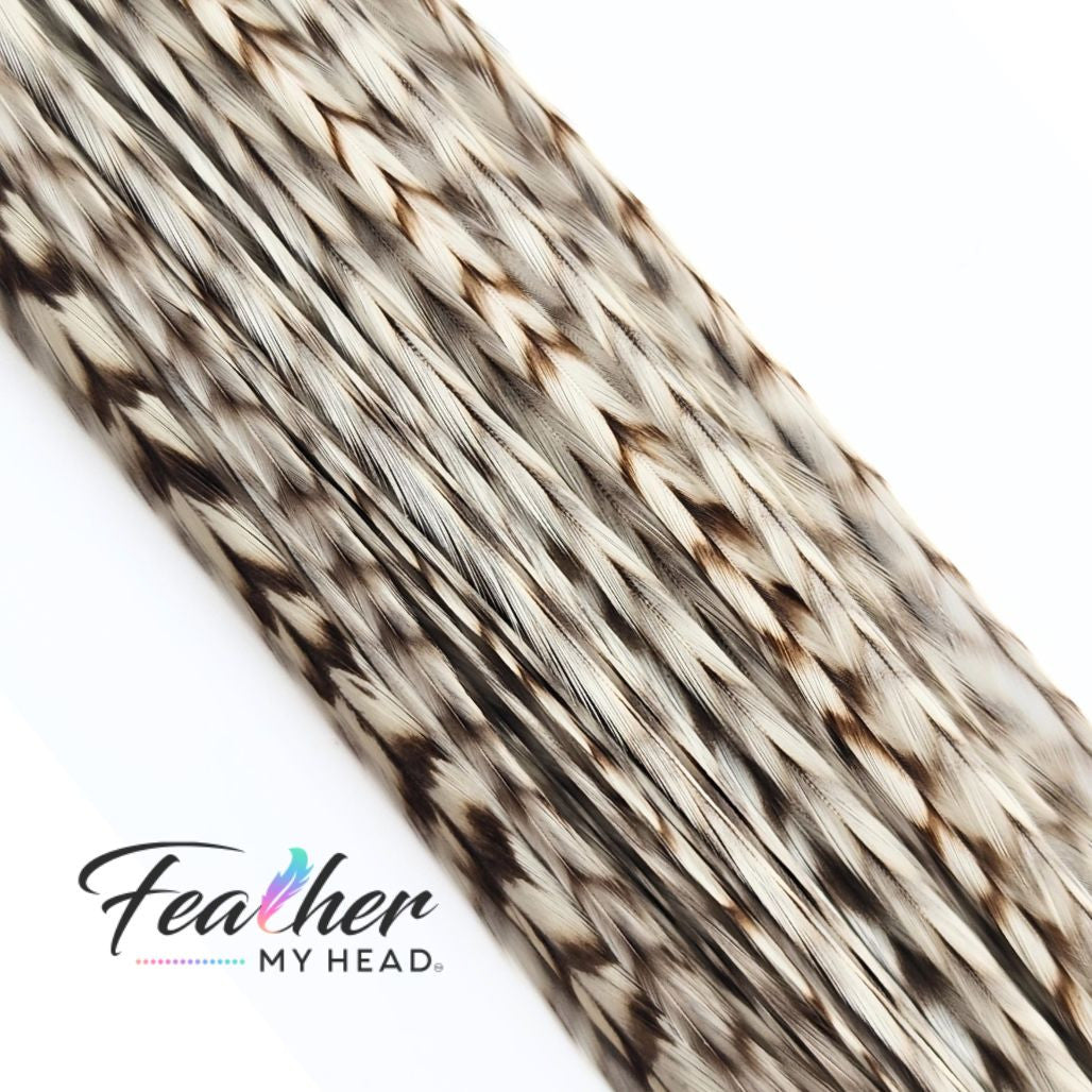 Dun Grizzly Hair Feathers -Real Feathers for Feather Hair Extensions in a White - Cream Color with Tan Stripes
Dun Grizzly feathers are real rooster feathers with a distinctive color and pattern. The Tan grizzly stripe gives this feather it's stunning visual appeal.  The striped pattern flow along the length of the adding a contrasting pattern and texture against the cream - white feather.