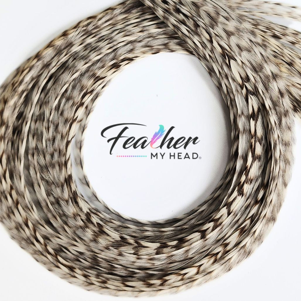 Dun Grizzly Hair Feathers -Real Feathers for Feather Hair Extensions in a White - Cream Color with Tan Stripes
Dun Grizzly feathers are real rooster feathers with a distinctive color and pattern. The Tan grizzly stripe gives this feather it's stunning visual appeal.  The striped pattern flow along the length of the adding a contrasting pattern and texture against the cream - white feather.
