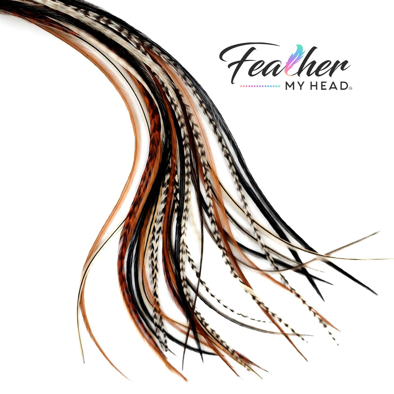 Feather your hair and finish off any look with our Dream Catcher Hair Feathers! Add natural color hair feathers to your style with our Dream Catcher mix in shades of brown, black, white, and cream hair feathers. Our salon pack of natural, heat-resistant hair feathers is perfect for adding a subtle and unique flare to your hair.