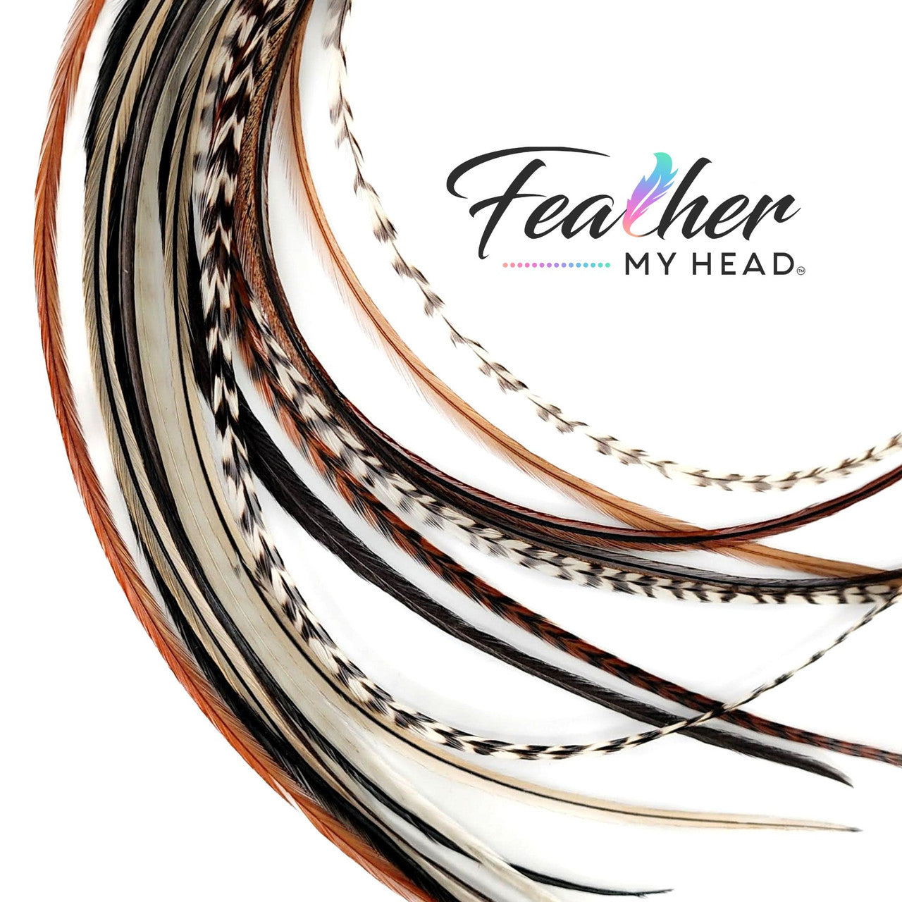 Feather your hair and finish off any look with our Dream Catcher Hair Feathers! Add natural color hair feathers to your style with our Dream Catcher mix in shades of brown, black, white, and cream hair feathers. Our salon pack of natural, heat-resistant hair feathers is perfect for adding a subtle and unique flare to your hair.