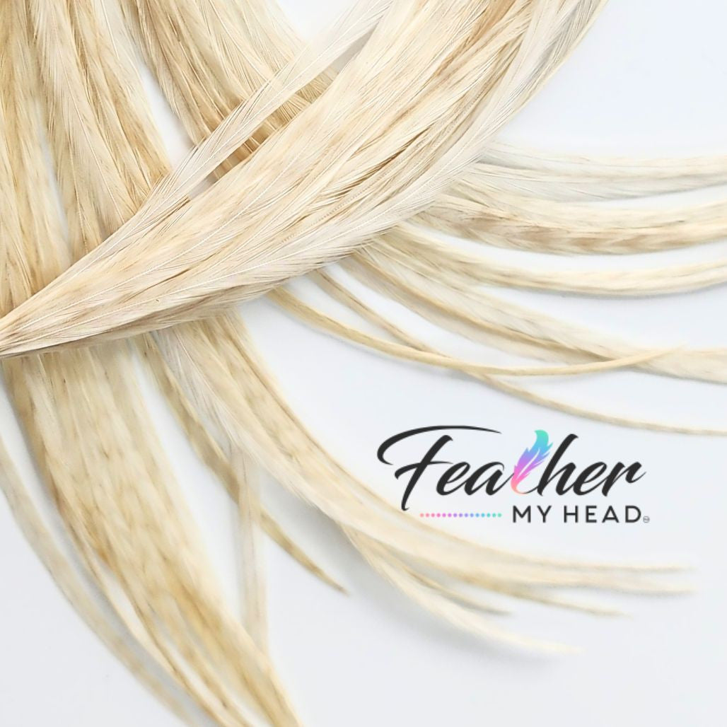 White Ghost Barred Grizzly Hair Feathers are one of the more distinctive natural feathers due to the faint barred striped markings on the background of the feather extension.
Neutral in color this feather will compliment almost all color combinations and will be found in almost all of our natural hair packs.