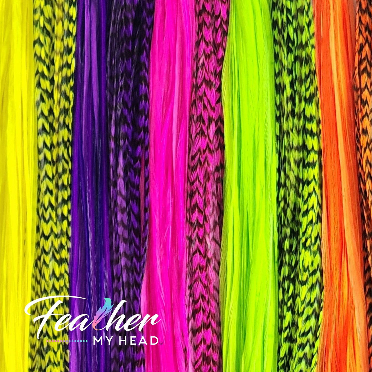 Hair Feather Extensions in neon fluorescent colors of green, orange, yellow, pink, and purple by Feather My Head Hair Feathers
