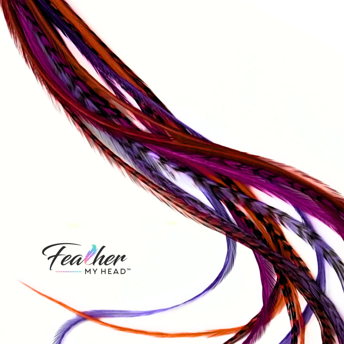 Hippie Shake feather hair extensions with natural brown and purple feather tones.