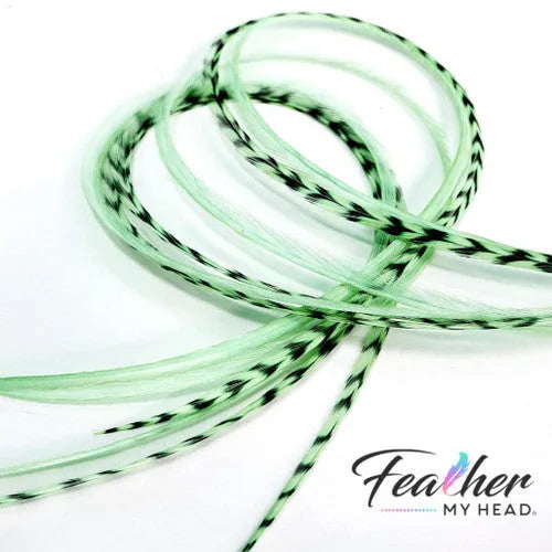 Light Pastel Green Hair Feather