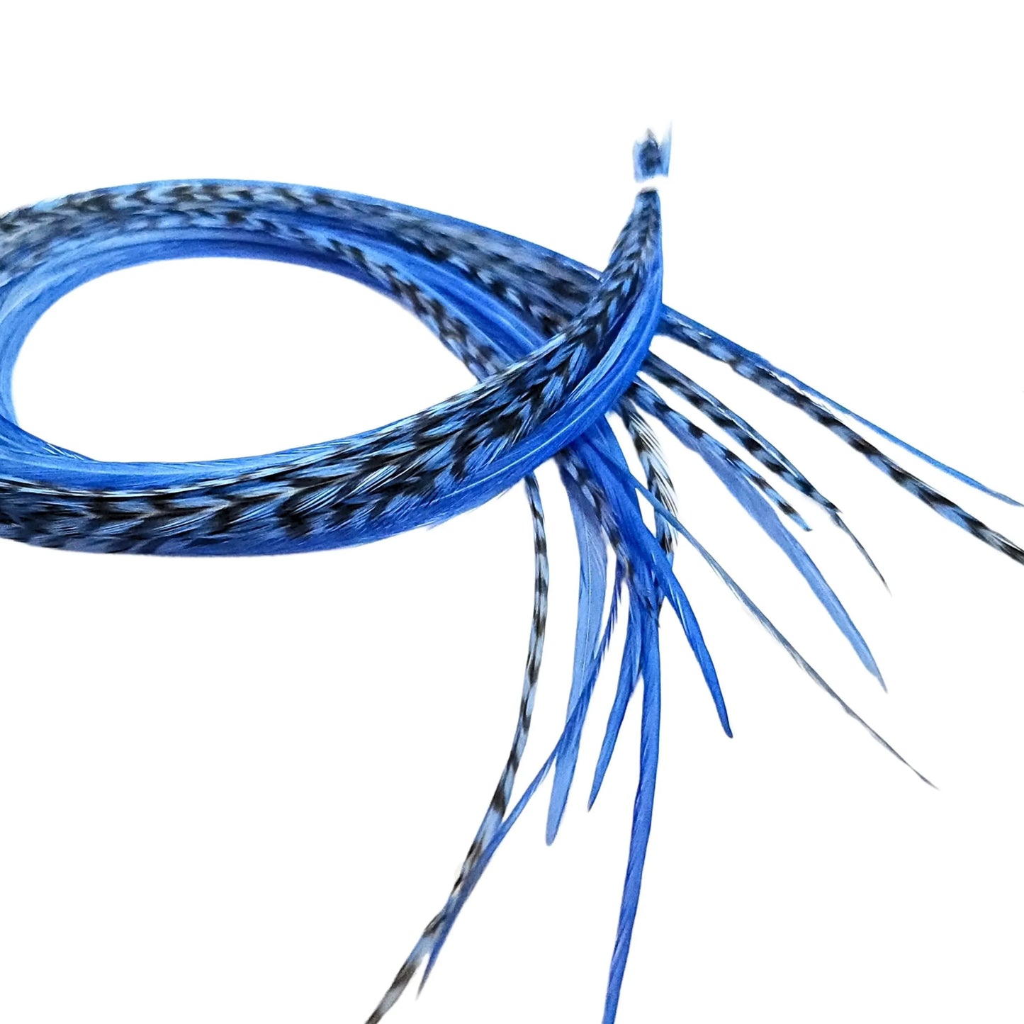 Light Blue Hair Feather