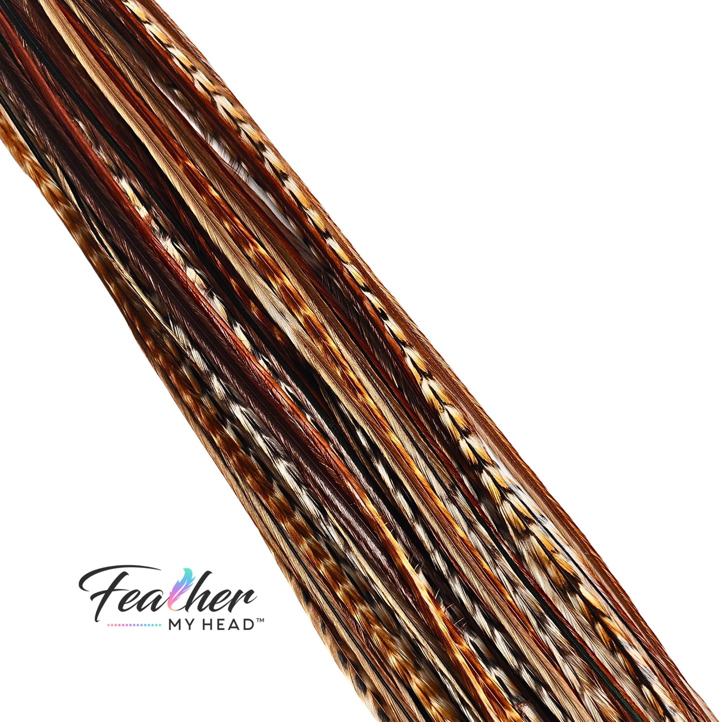 These barred ginger feathers are unique and each one is different in color. If you're looking for something truly unique, these feathers are for you!
Feather hair extensions are a popular trend right now, and our barred ginger variant is one of the most unique options out there. sourced from the USA, these feathers are of the highest quality.
These feather hair extensions come in a variety of lengths to suit your needs. We also offer a feather kit that includes all the feathers you need to get started!