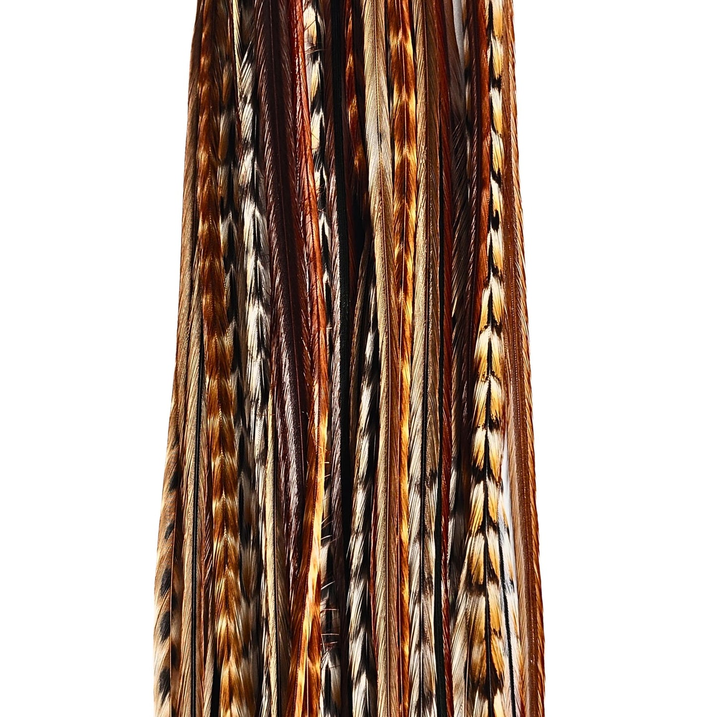 These barred ginger feathers are unique and each one is different in color. If you're looking for something truly unique, these feathers are for you!
Feather hair extensions are a popular trend right now, and our barred ginger variant is one of the most unique options out there. sourced from the USA, these feathers are of the highest quality.
These feather hair extensions come in a variety of lengths to suit your needs. We also offer a feather kit that includes all the feathers you need to get started!
