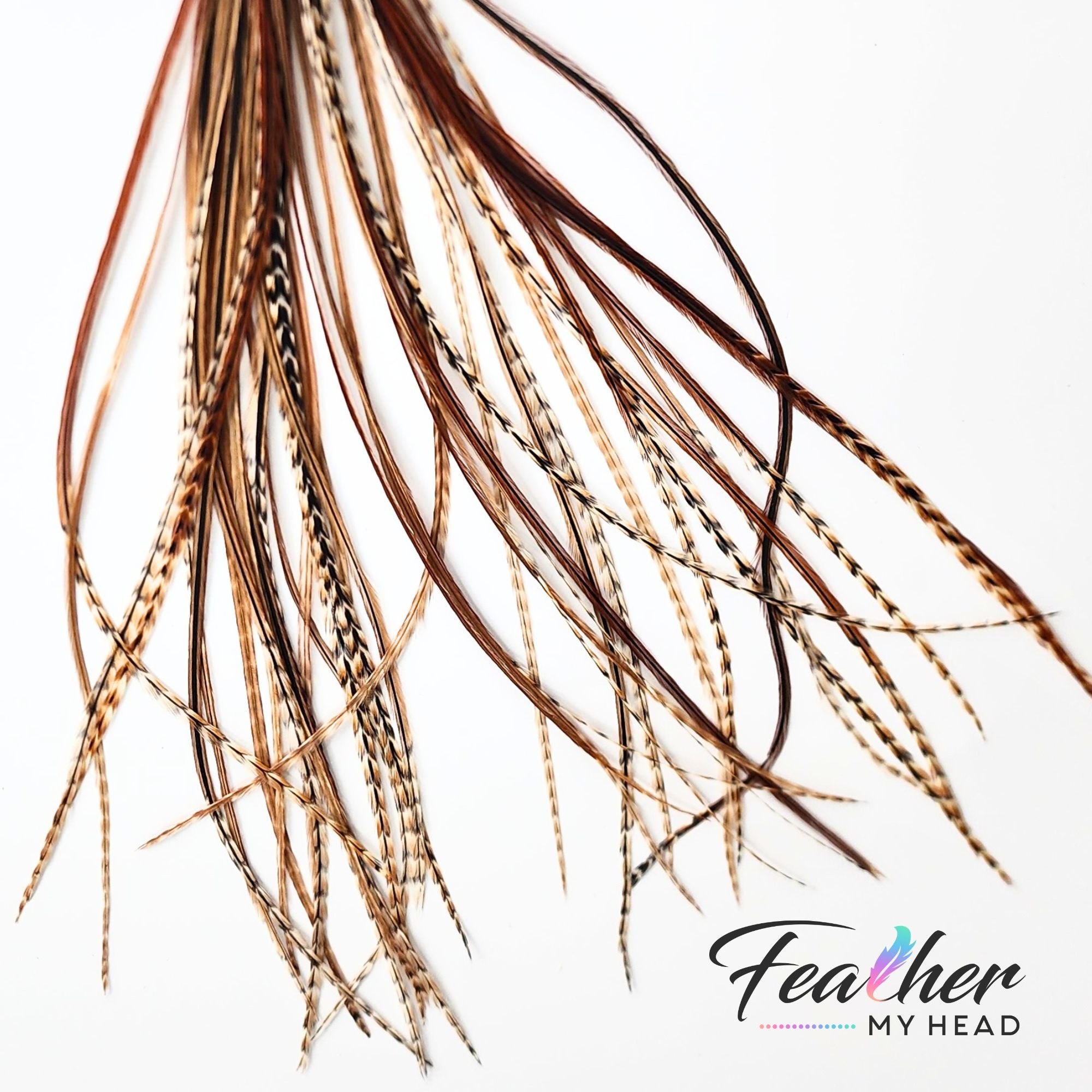 These barred ginger feathers are unique and each one is different in color. If you're looking for something truly unique, these feathers are for you!
Feather hair extensions are a popular trend right now, and our barred ginger variant is one of the most unique options out there. sourced from the USA, these feathers are of the highest quality.
These feather hair extensions come in a variety of lengths to suit your needs. We also offer a feather kit that includes all the feathers you need to get started!