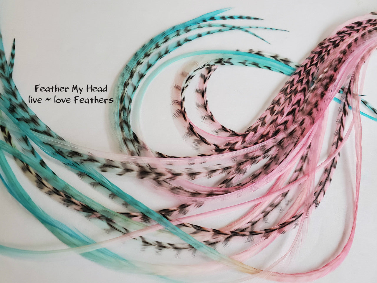 Rainbow hair feathers. Hand dyed by Feather My Head in shades of pink and aqua. Hair feather kit available