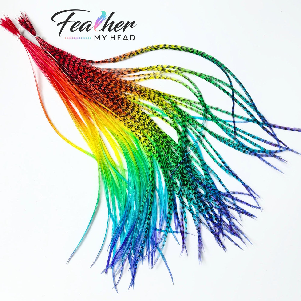 Hair Feather Extensions in rainbow colors of red, orange, yellow, green, blue, and purple. Short and Long Hair Feathers available. Hair Feathers by Feather My Head