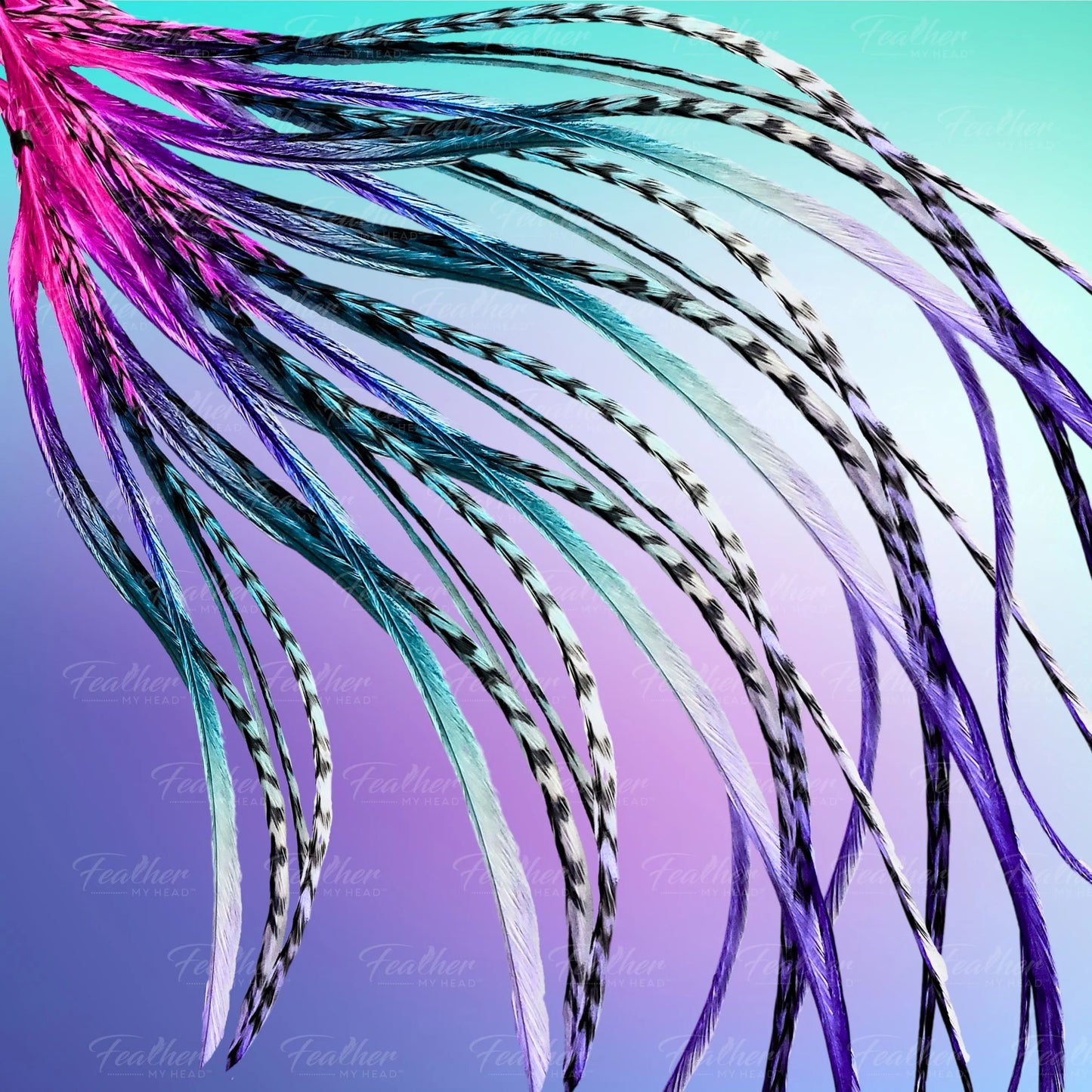 Dragonfly Rainbow Tie Dye Hair Feather