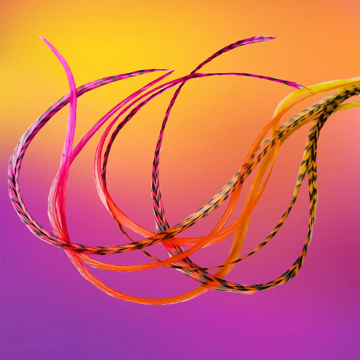 Safari Sunrise Rainbow Tie-Dyed Hair Feather | Feather My Head rooster feather hair extensions