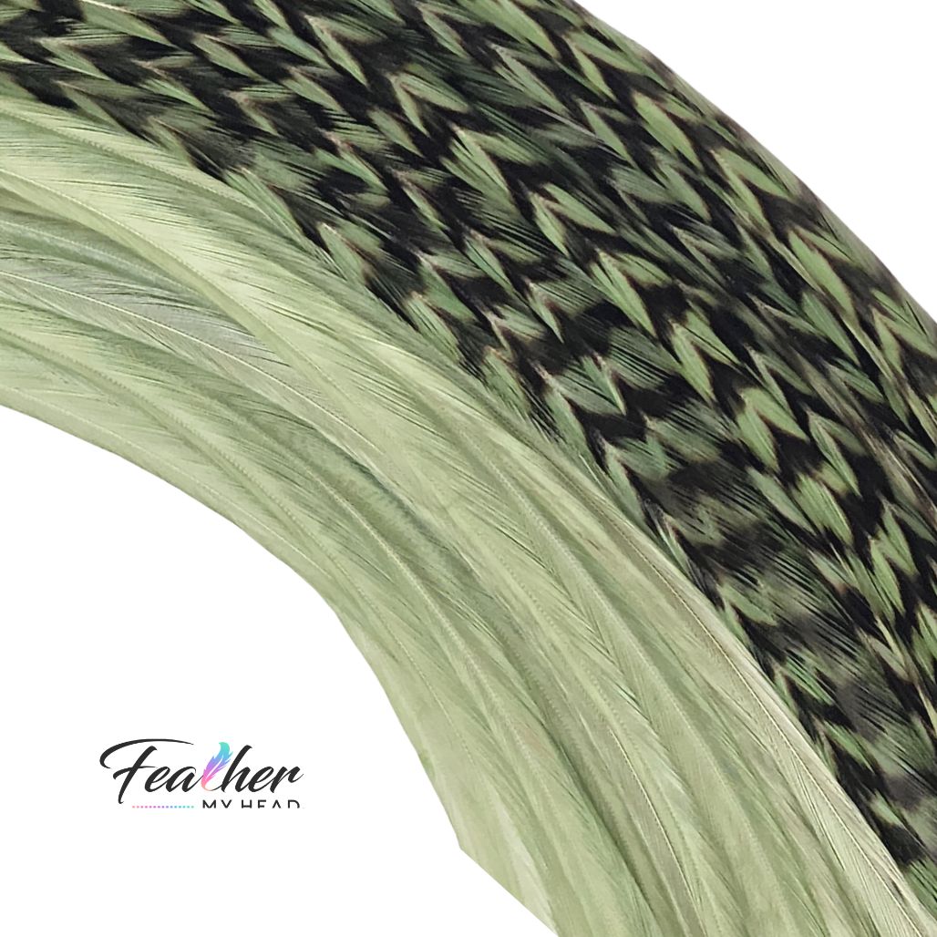 Close up of sage green feather hair extensions showing striped and solid feather detail