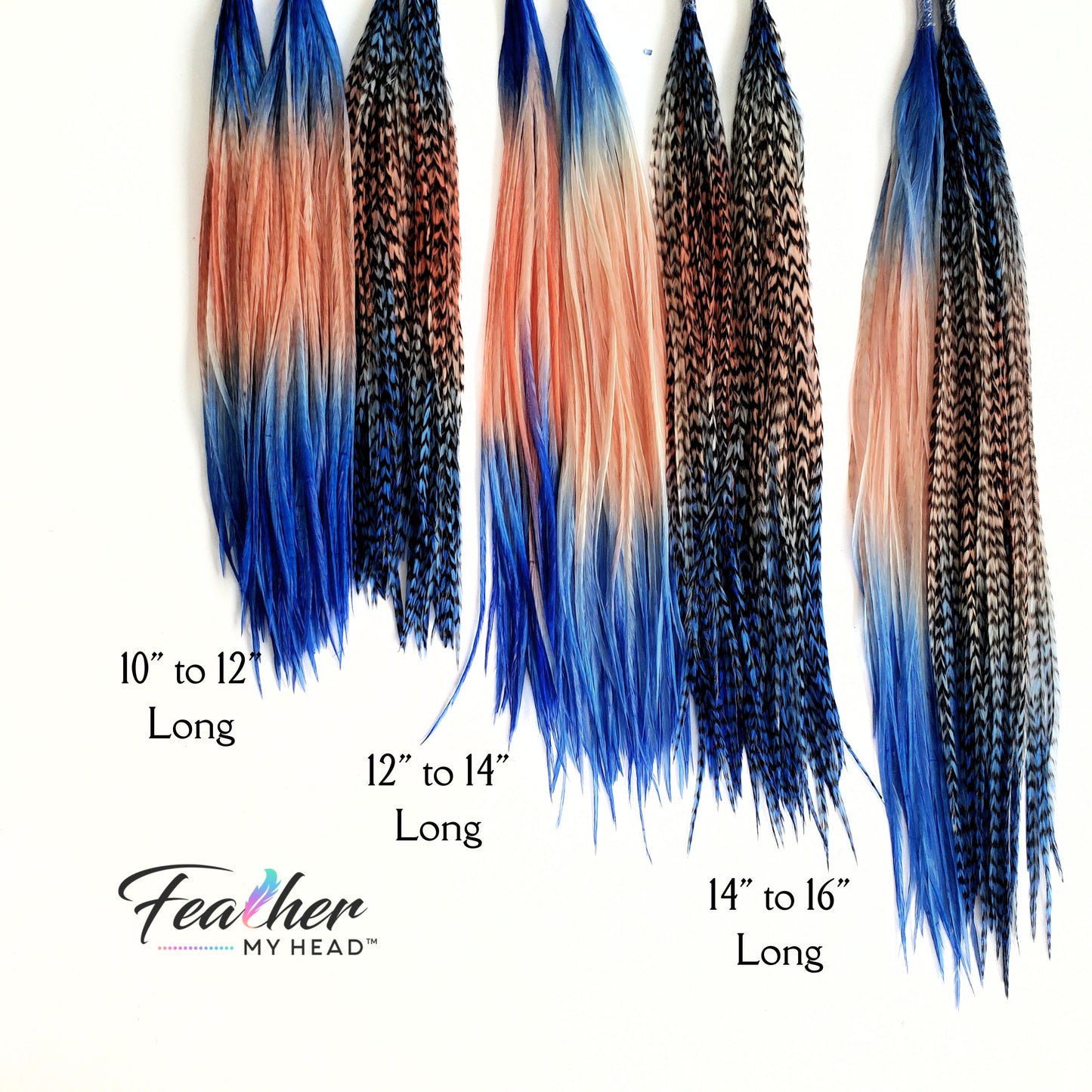 long thin rooster feather hair extension ombre coastal colors