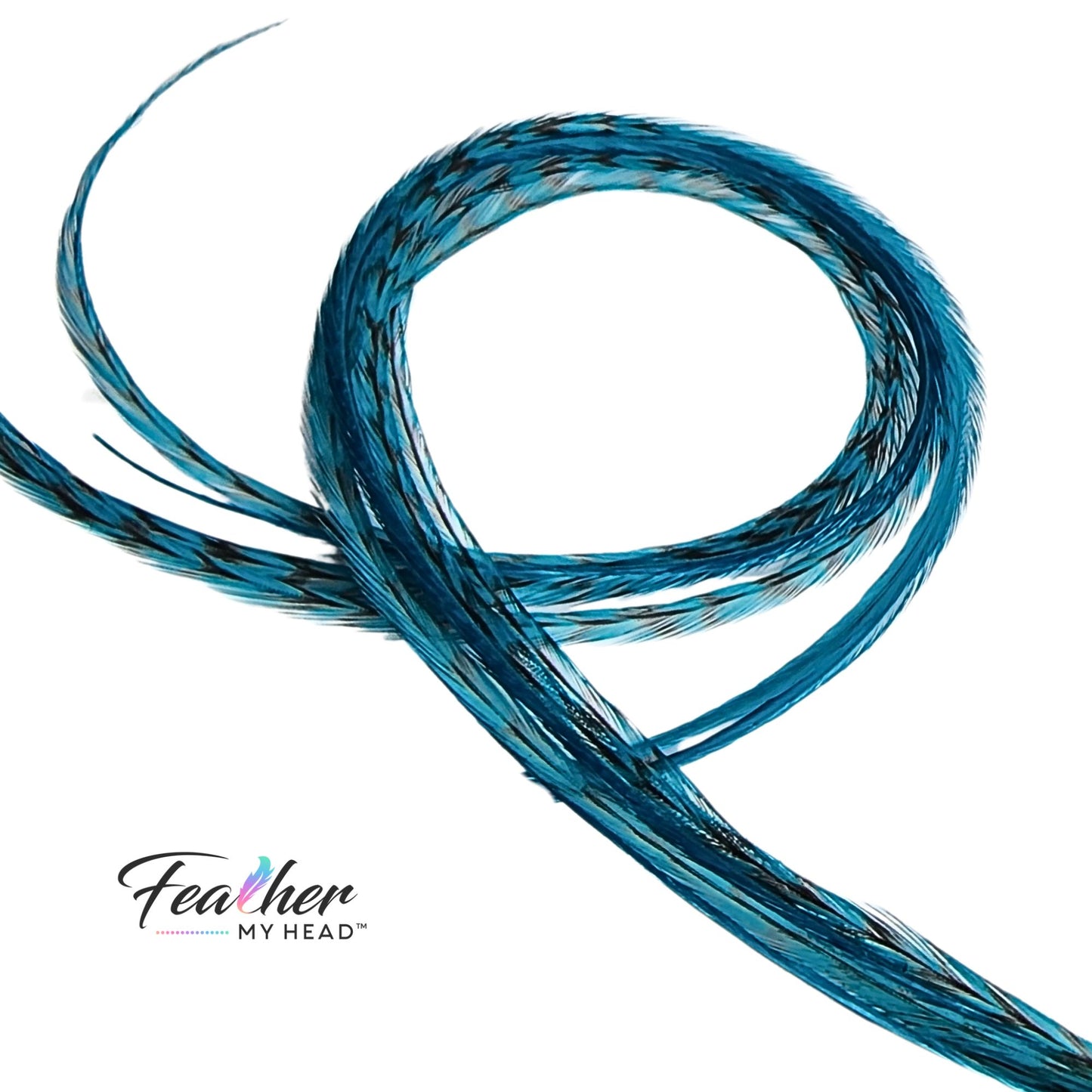 Teal Blue Green Hair Feather