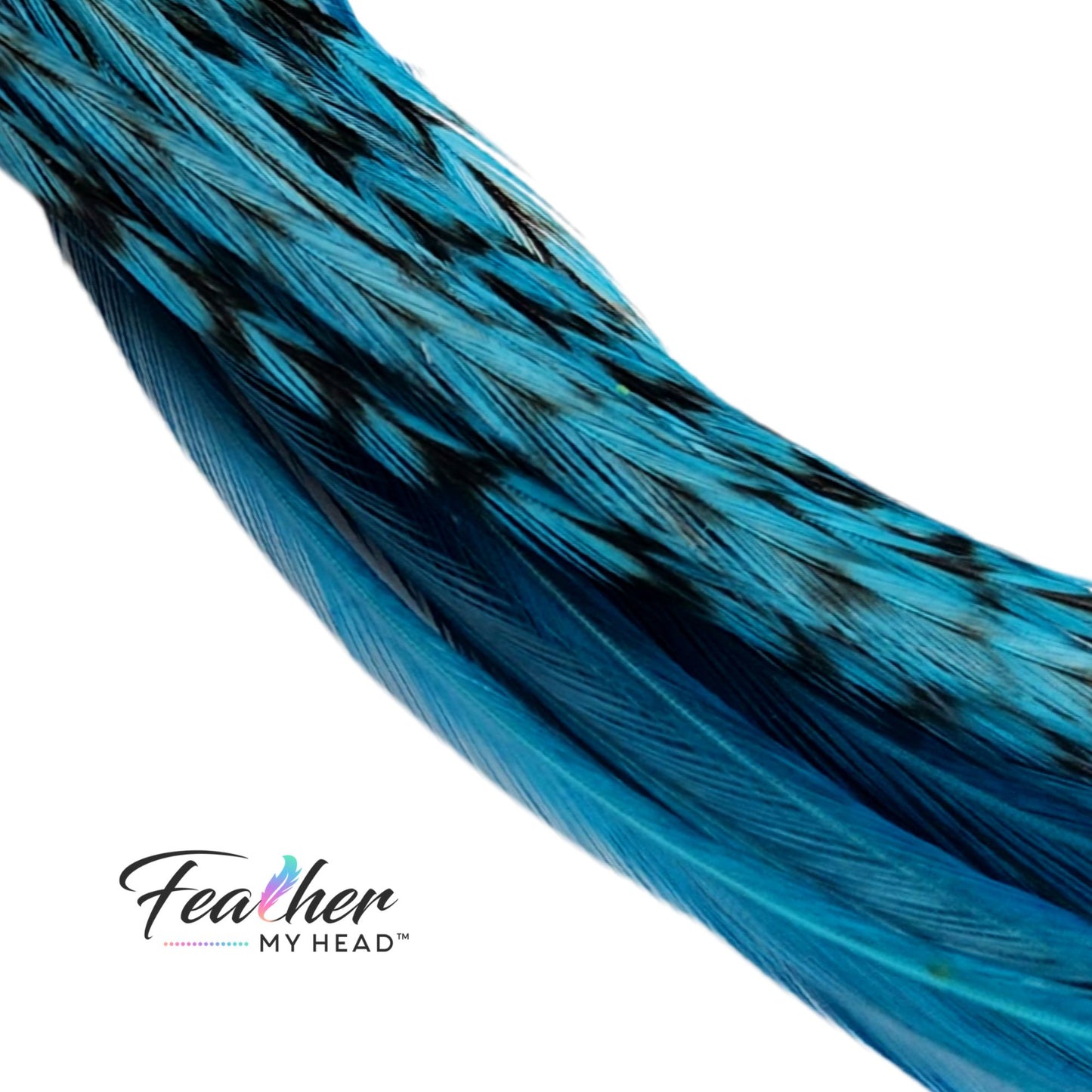 Teal Blue Green Hair Feather