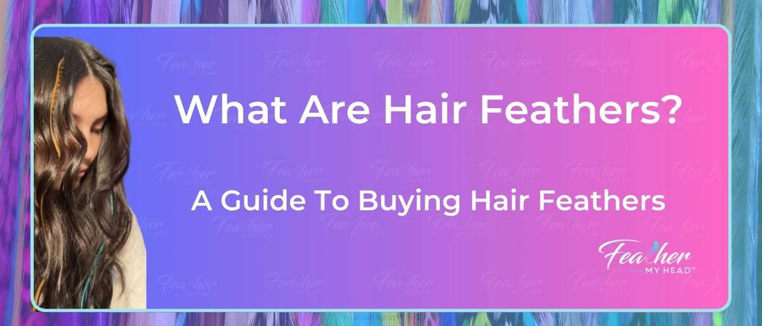 Premium feather hair extensions guide with natural and colorful rooster feathers