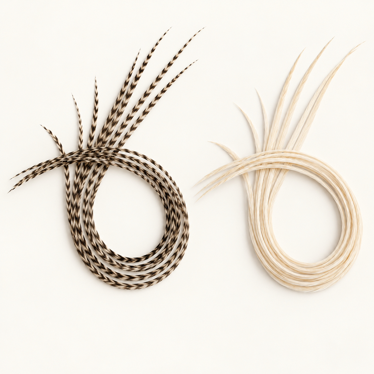 Natural grizzly and cream hair feathers arranged in coils to show flexibility and natural variation.
