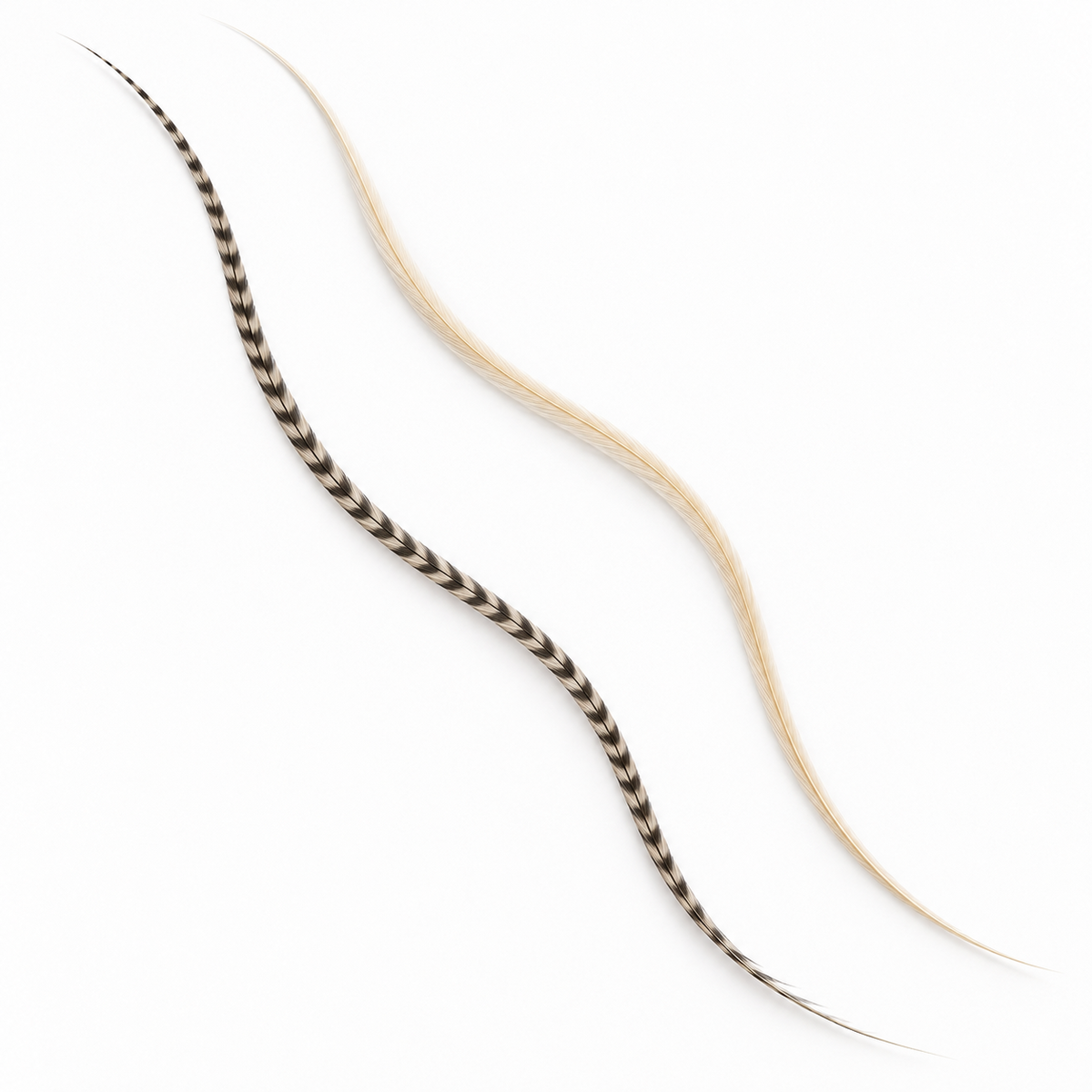 Natural grizzly and cream hair feather examples side by side; each sold individually.