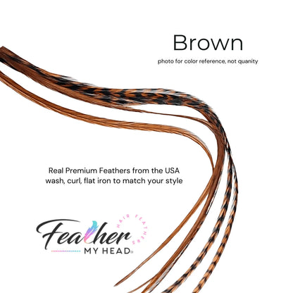 Brown Feather Hair Extension kit by Feather My Head Hair Feathers in long lengths you will love