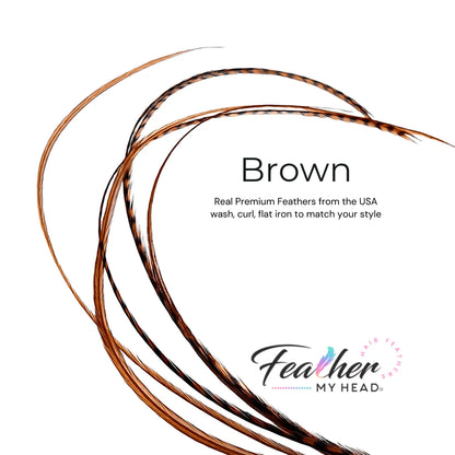 Brown Feather Hair Extension kit by Feather My Head Hair Feathers in long lengths you will love