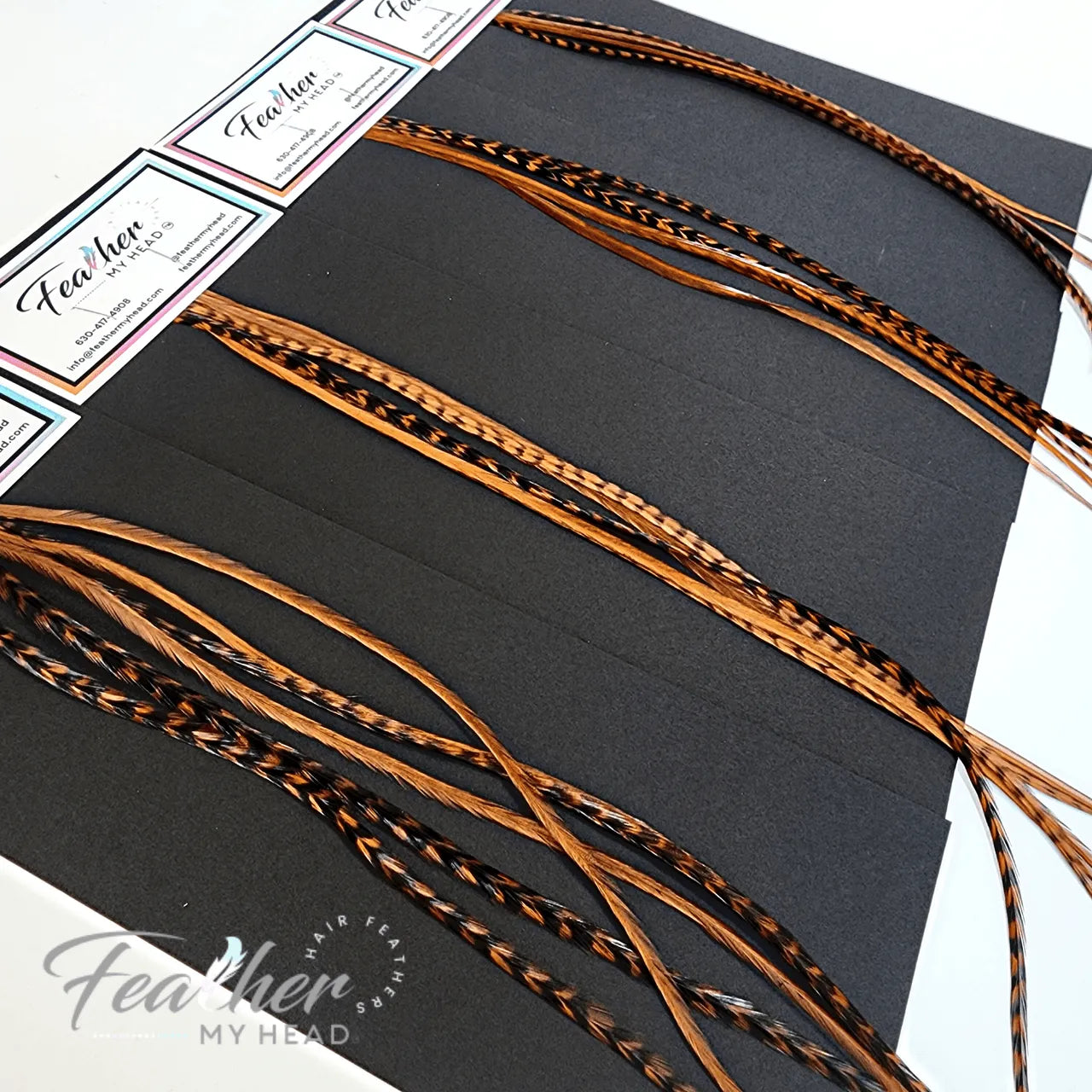 Brown Feather Hair Extension kit by Feather My Head Hair Feathers in long lengths you will love