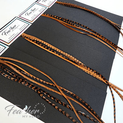 Brown Feather Hair Extension kit by Feather My Head Hair Feathers in long lengths you will love