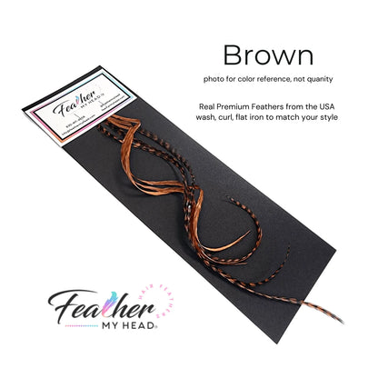 Brown Feather Hair Extension kit by Feather My Head Hair Feathers in long lengths you will love