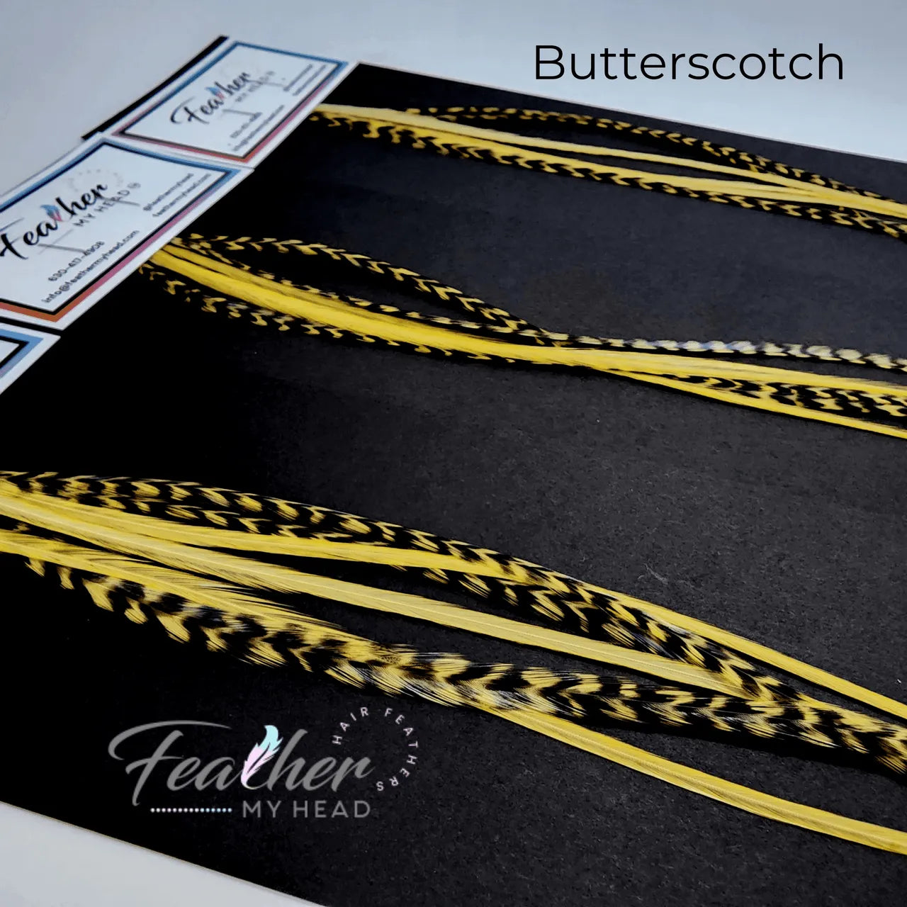 Butterscotch yellow - gold feather hair extension kit by Feather My Head hair feathers in long lengths you will love.